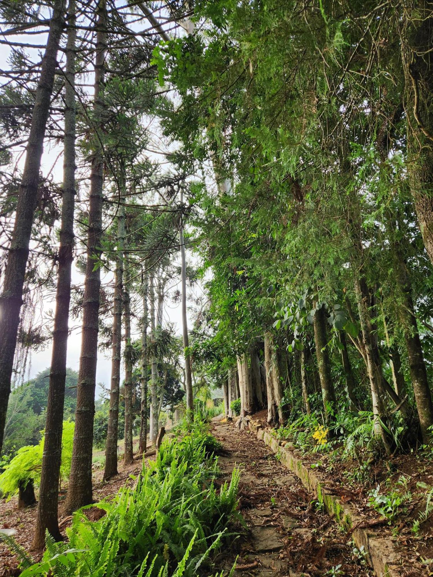 Pousada La Na Roca Paraisópolis Exteriér fotografie